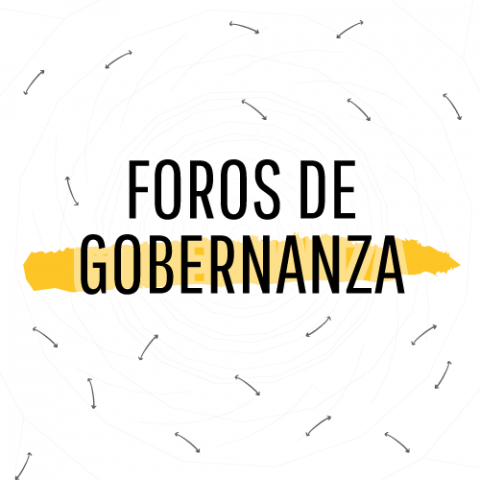 Foros de Gobernanza de Internet